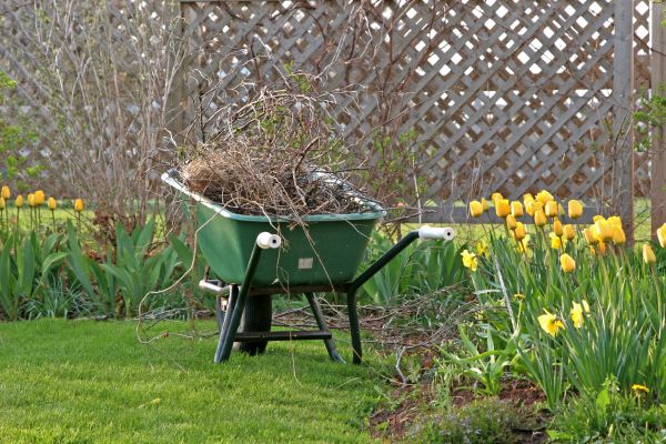 Flower Bed Cleanup Service in Lake Charles
