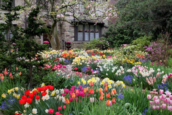 Garden Maintenance Service in Lake Charles