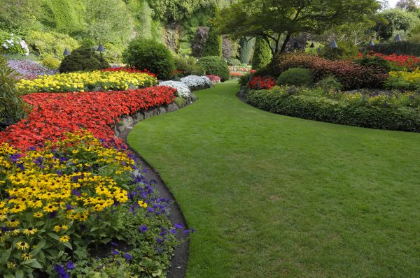 Landscaping Maintenance in Lake Charles