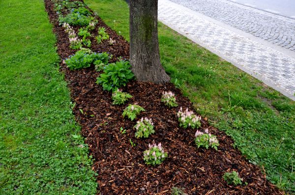 Mulch Replacement Service in Lake Charles