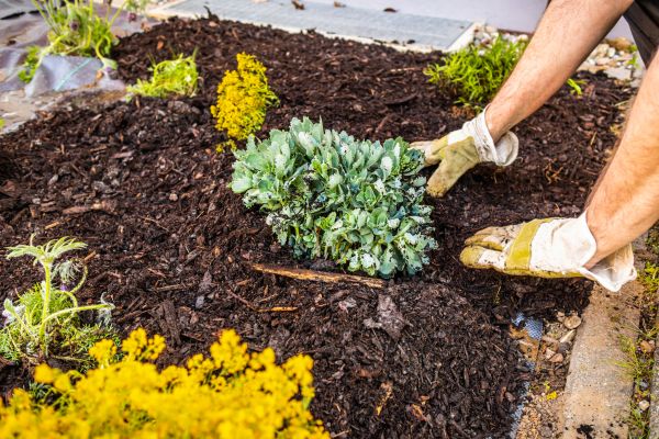 Weeding And Mulching in Lake Charles