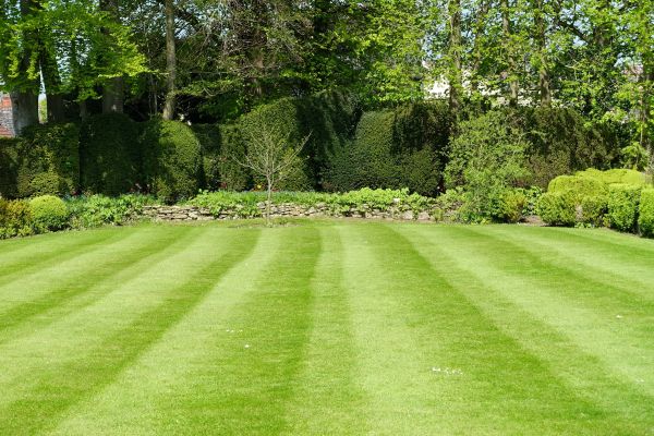Lawn Renovation in Lake Charles