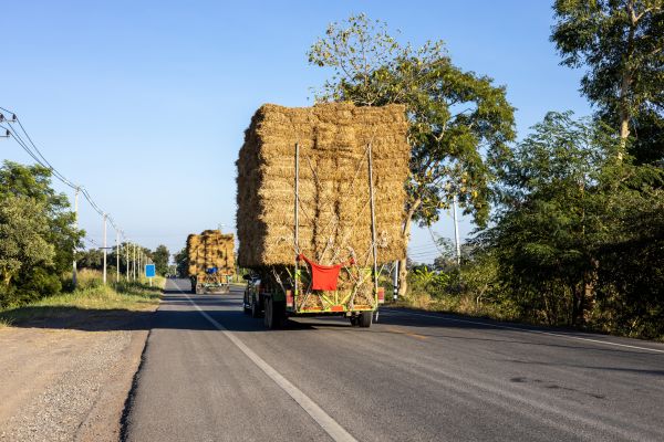 Pine Straw Delivery in Lake Charles