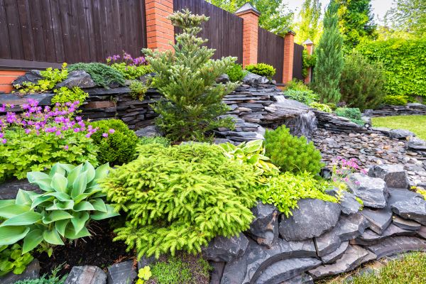 Landscape Remodeling in Lake Charles