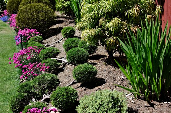 Residential Gardening in Lake Charles