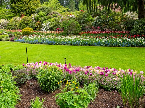 Residential Landscape Design in Lake Charles