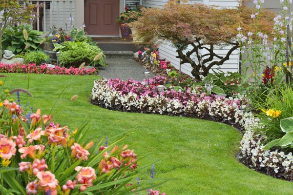 Perennial Landscaping in Lake Charles