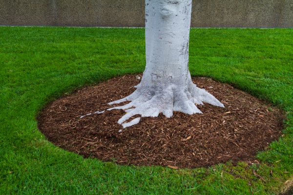 Brown Mulch Installation in Lake Charles