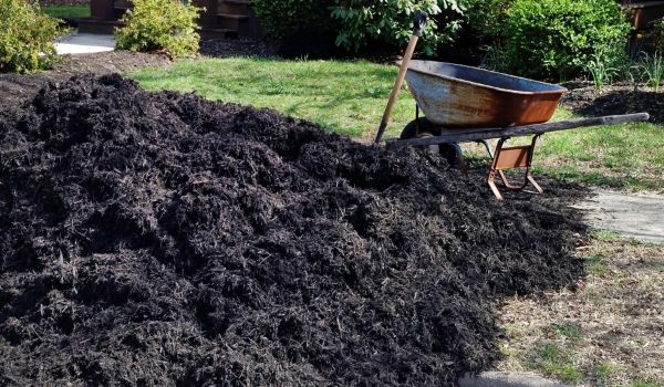 Black Mulch Installation in Lake Charles