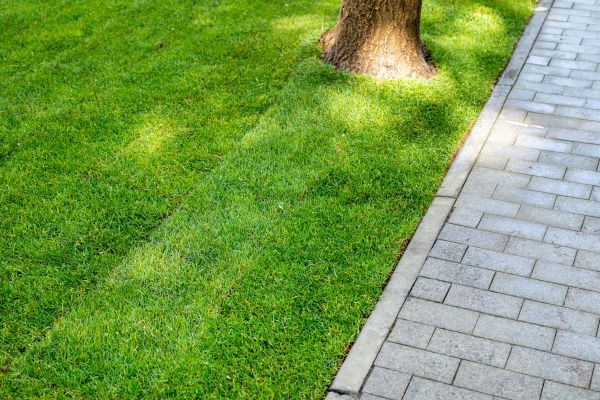 Border Stone Installation in Lake Charles