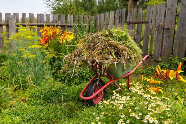 Garden Cleanup Service in Lake Charles