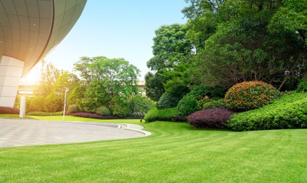 Business Landscape Design in Lake Charles