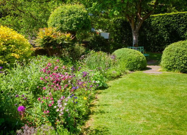 Yard Landscaping Service in Lake Charles