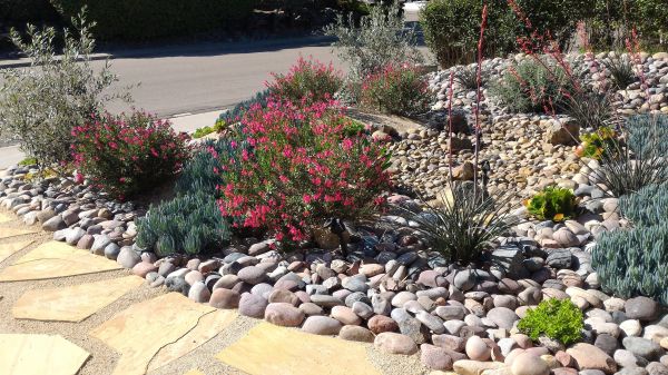 Xeriscape Landscaping in Lake Charles