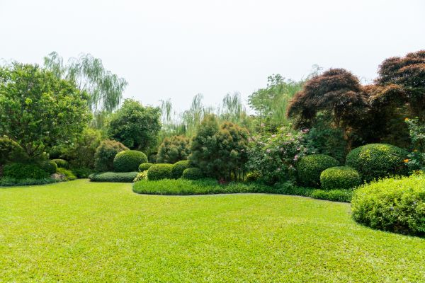 Tree Landscaping in Lake Charles