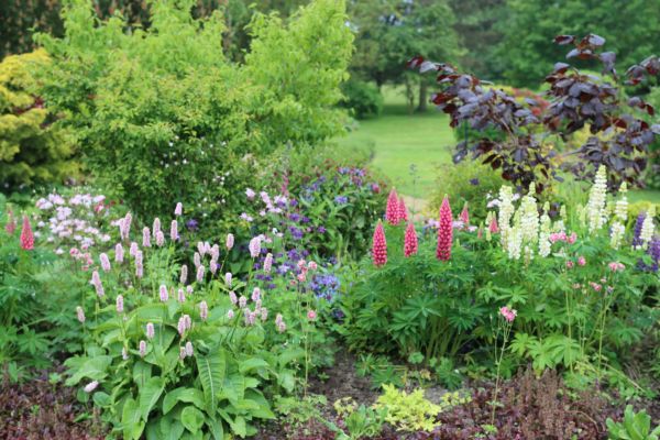 Flower Bed Planting in Lake Charles