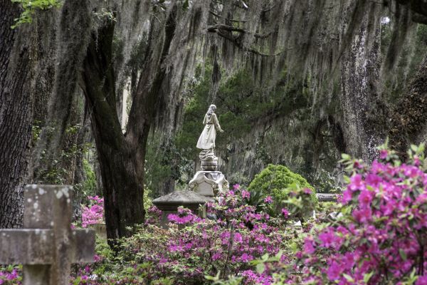 Cemetery Landscaping in Lake Charles
