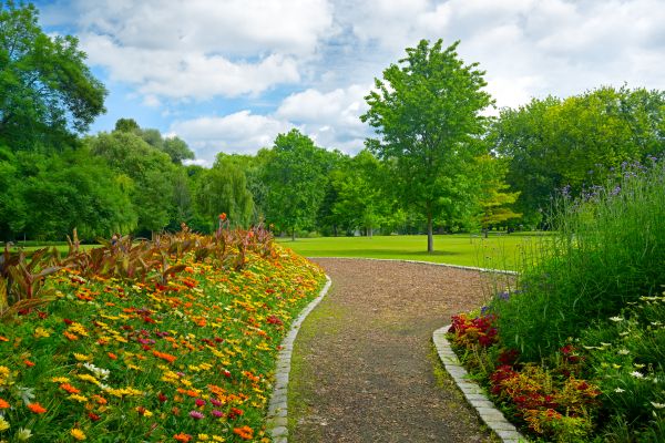 Park Landscaping in Lake Charles