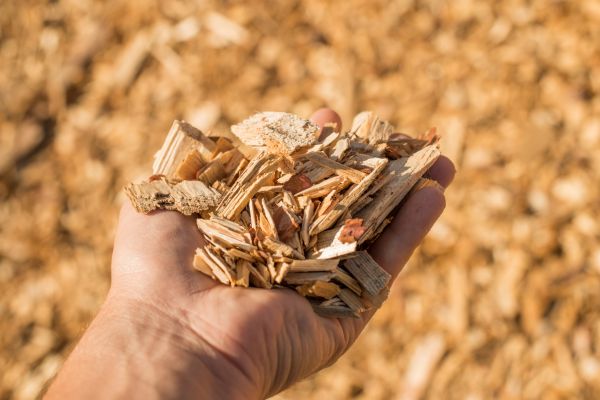 Wood Chips Spreading in Lake Charles