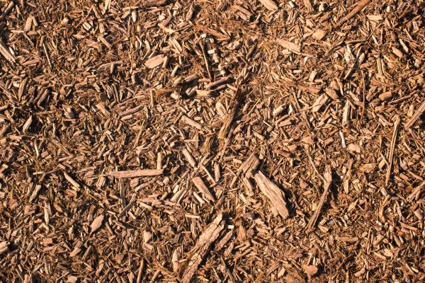 Wood Chips Removal in Lake Charles