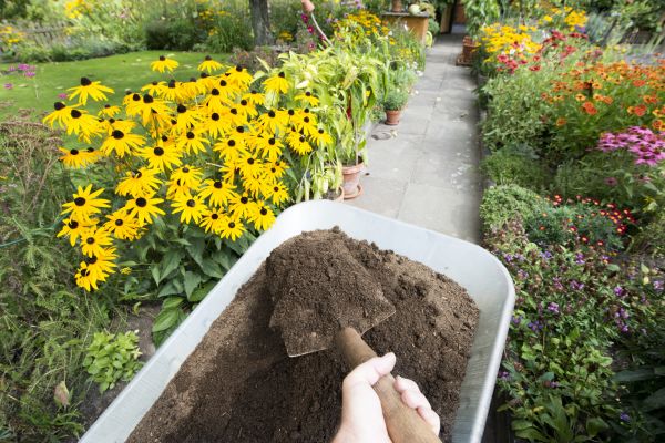 Topsoil Replacement in Lake Charles