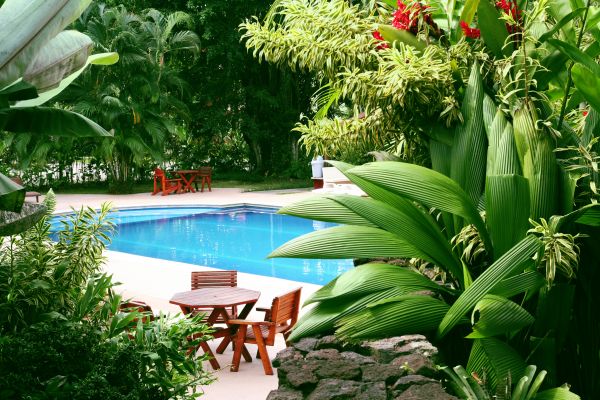 Pool Area Landscaping in Lake Charles