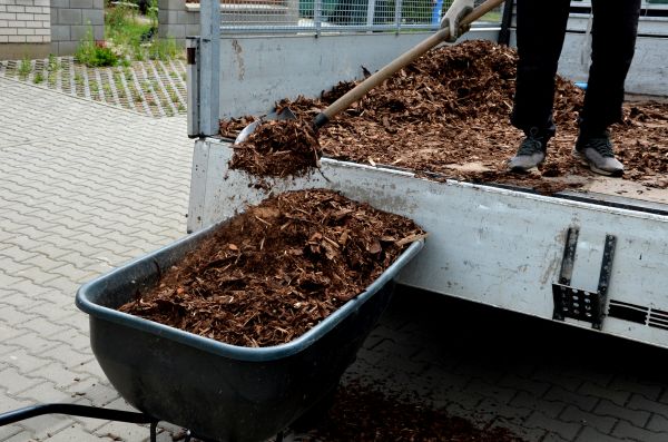 Cedar Mulch Delivery in Lake Charles