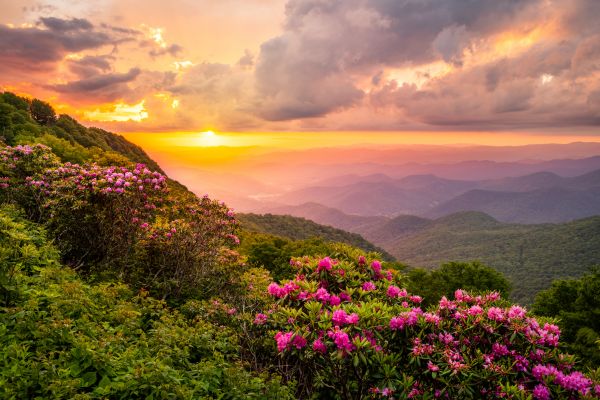 Hill Landscaping in Lake Charles