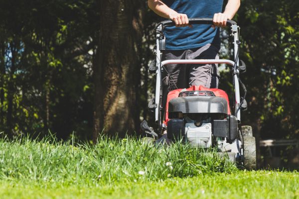 Garden Trimming Service in Lake Charles