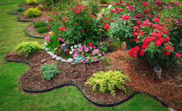 Floral Landscaping in Lake Charles