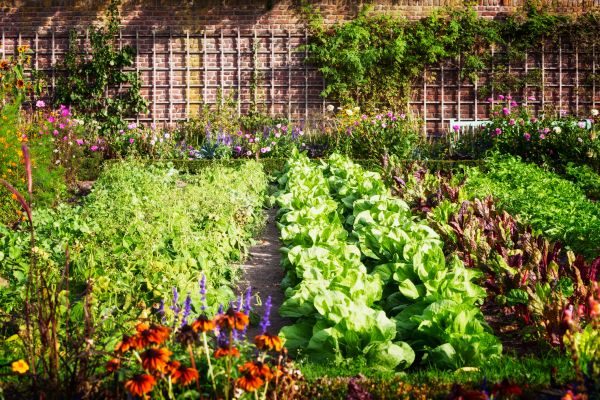 Garden Planting Service in Lake Charles
