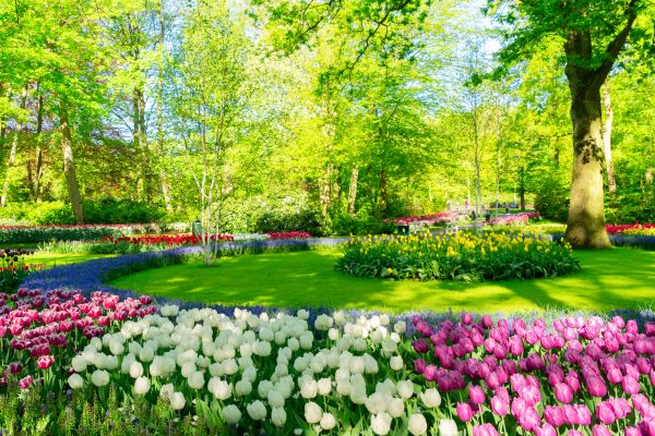 Flower Landscaping in Lake Charles