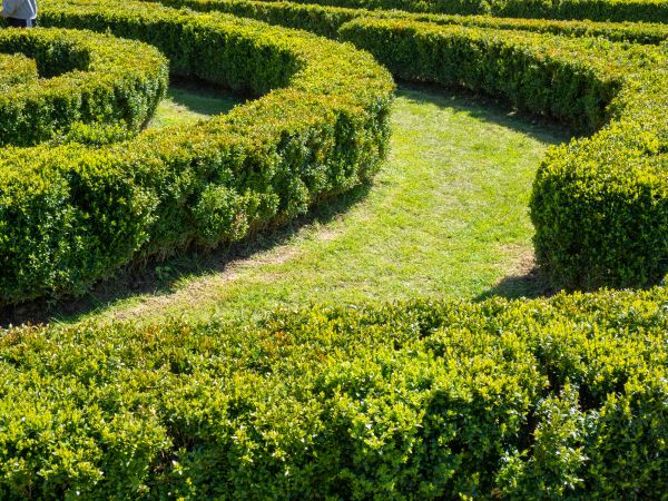 Bush Landscaping in Lake Charles