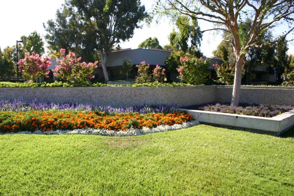 Commercial Landscape Service in Lake Charles