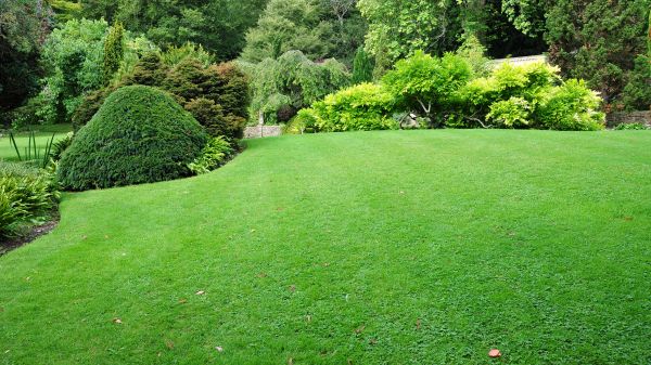 Commercial Landscape Design in Lake Charles