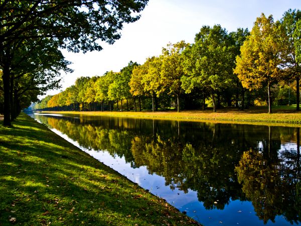 Bank Landscaping in Lake Charles
