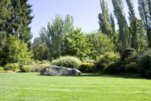Yard Enlargement in Lake Charles