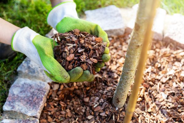 Tree Bark Delivery in Lake Charles