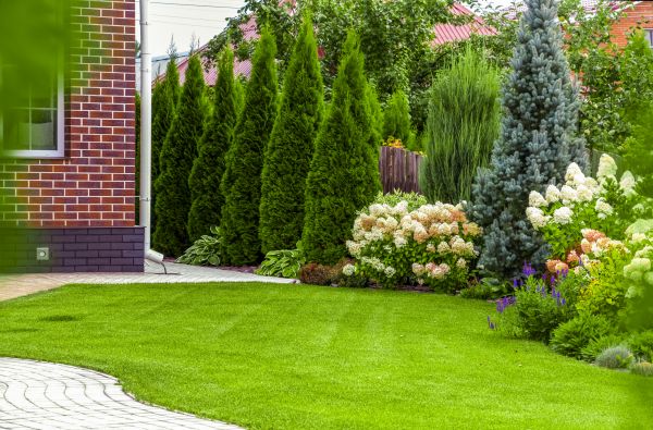 Spring Landscaping in Lake Charles
