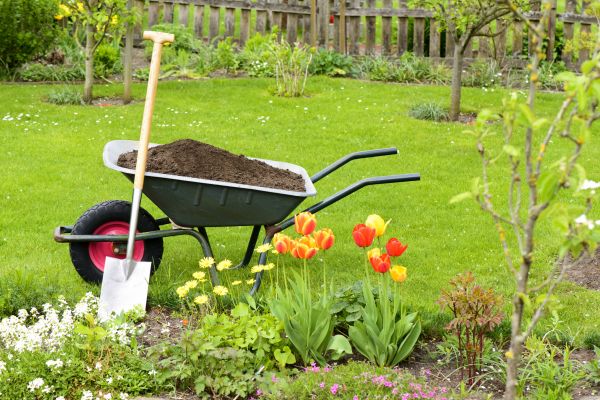 Spring Yard Renovation in Lake Charles
