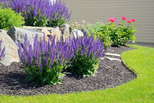 Landscape Planting Service in Lake Charles