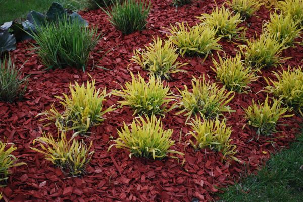 Red Mulch Installation in Lake Charles