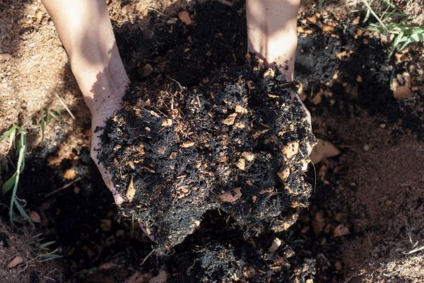 Organic Mulch Installation in Lake Charles