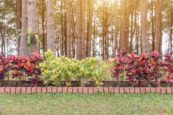 Small Garden Landscaping in Lake Charles