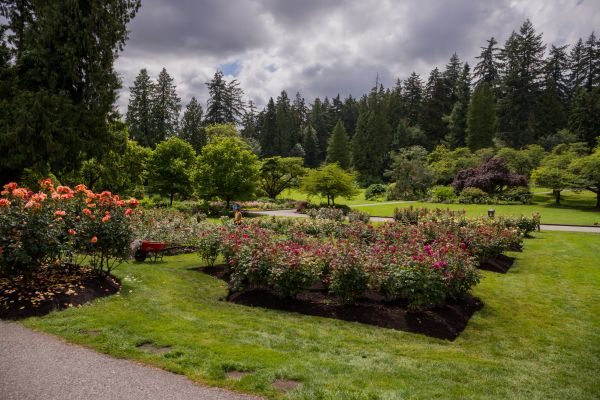 Flower Garden Landscaping in Lake Charles