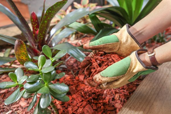 Cedar Mulch Installation in Lake Charles
