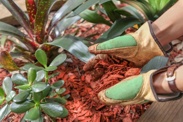 Residential Mulching in Lake Charles