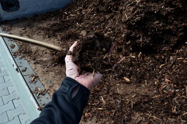 Condo Mulching in Lake Charles
